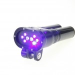 Ultraviolet has come down in price. Florescence is the new black!