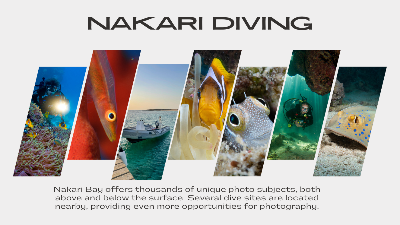 Nakari Diving explained