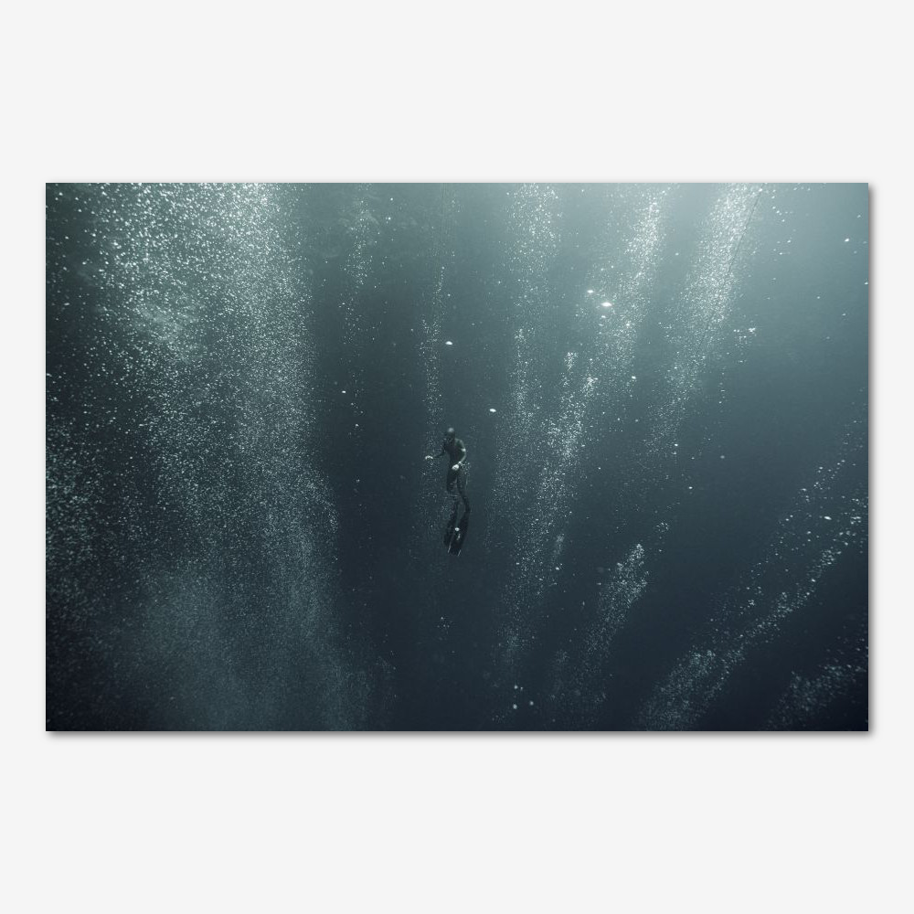 Underwater photograph by Nanna Kreutzmann